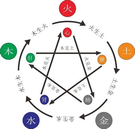 五行屬水缺木|八字木多缺水(五行属木的人命里缺什么)